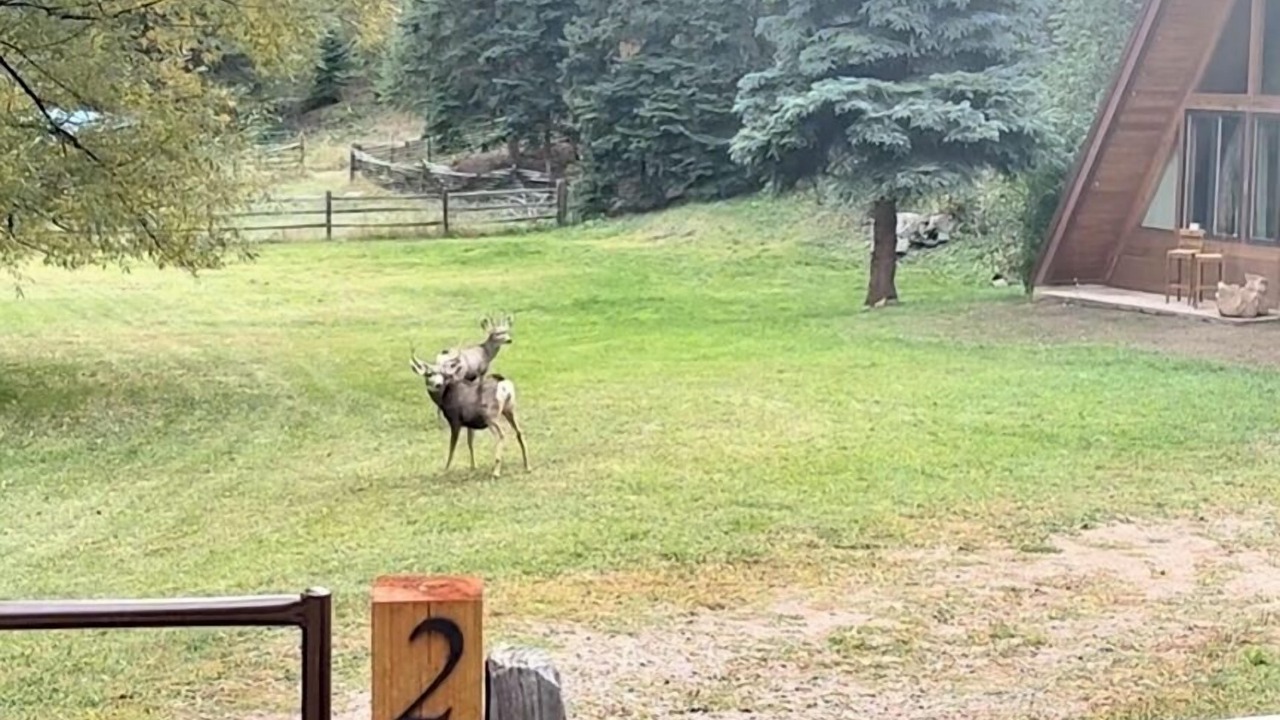 Photo of Outdoor in Indian Hills