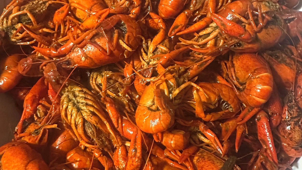 Photo of Others in Treme