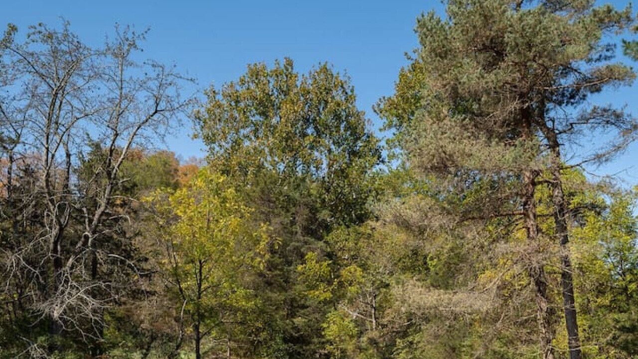 Photo of Others in Pine Plains