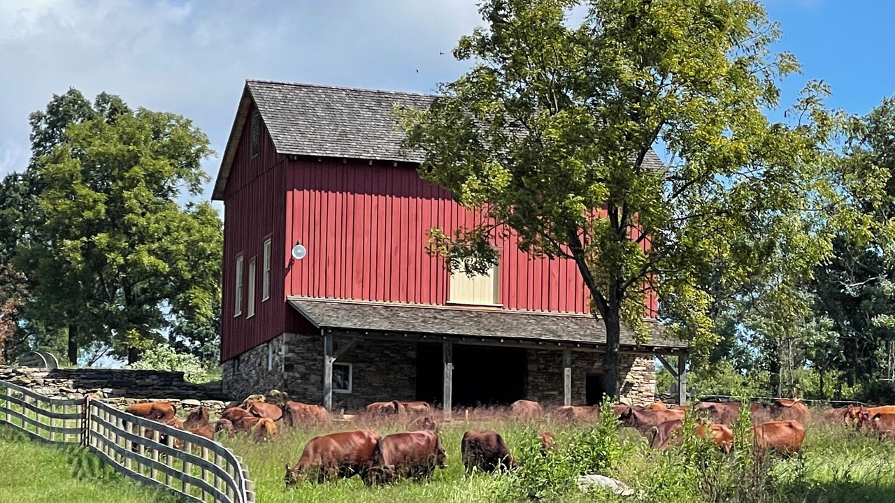Photo of Outdoor in Rippon