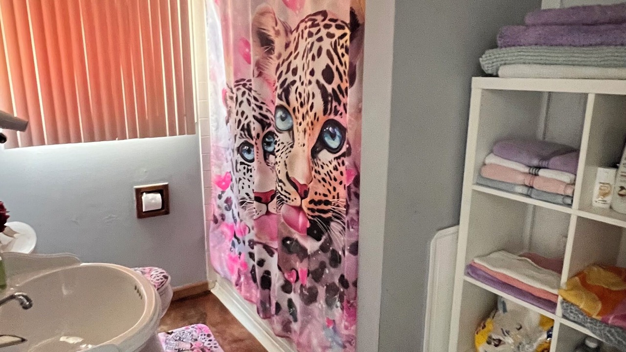 Photo of Bathroom in Dearborn Heights