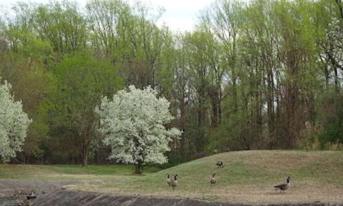Photo of Outdoor in Hanover
