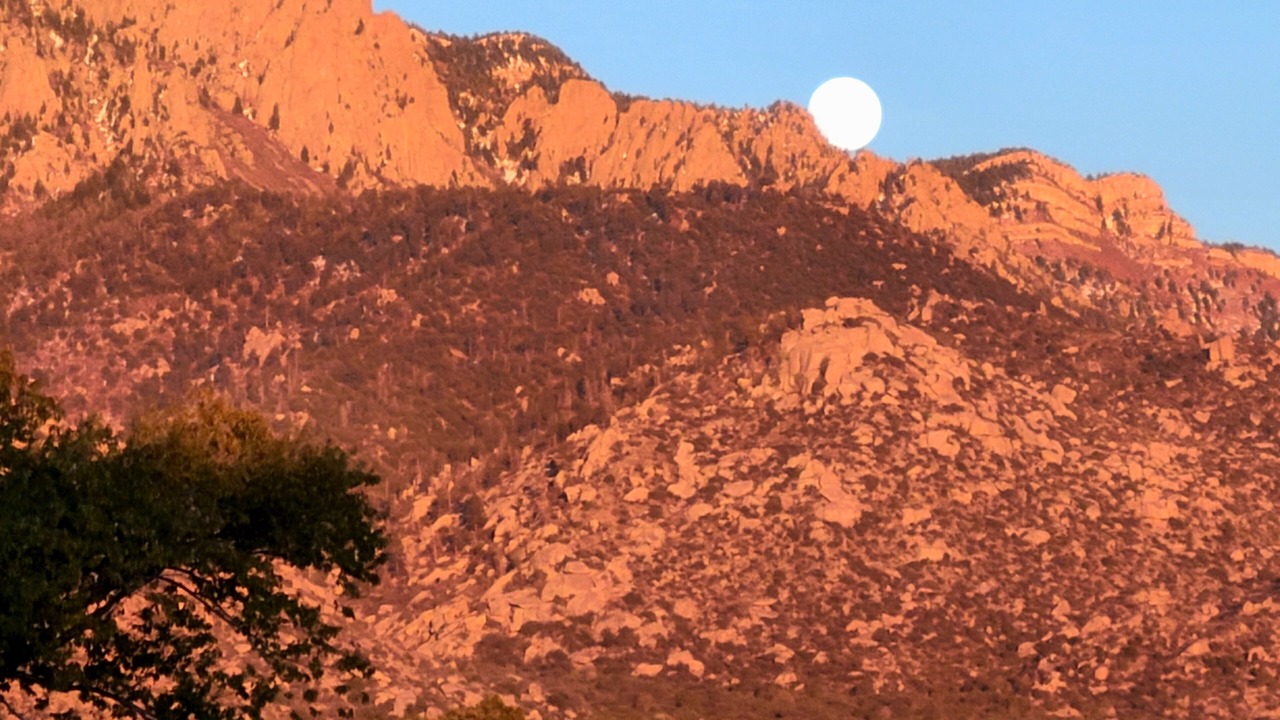 Photo of Others in Sandia Heights South