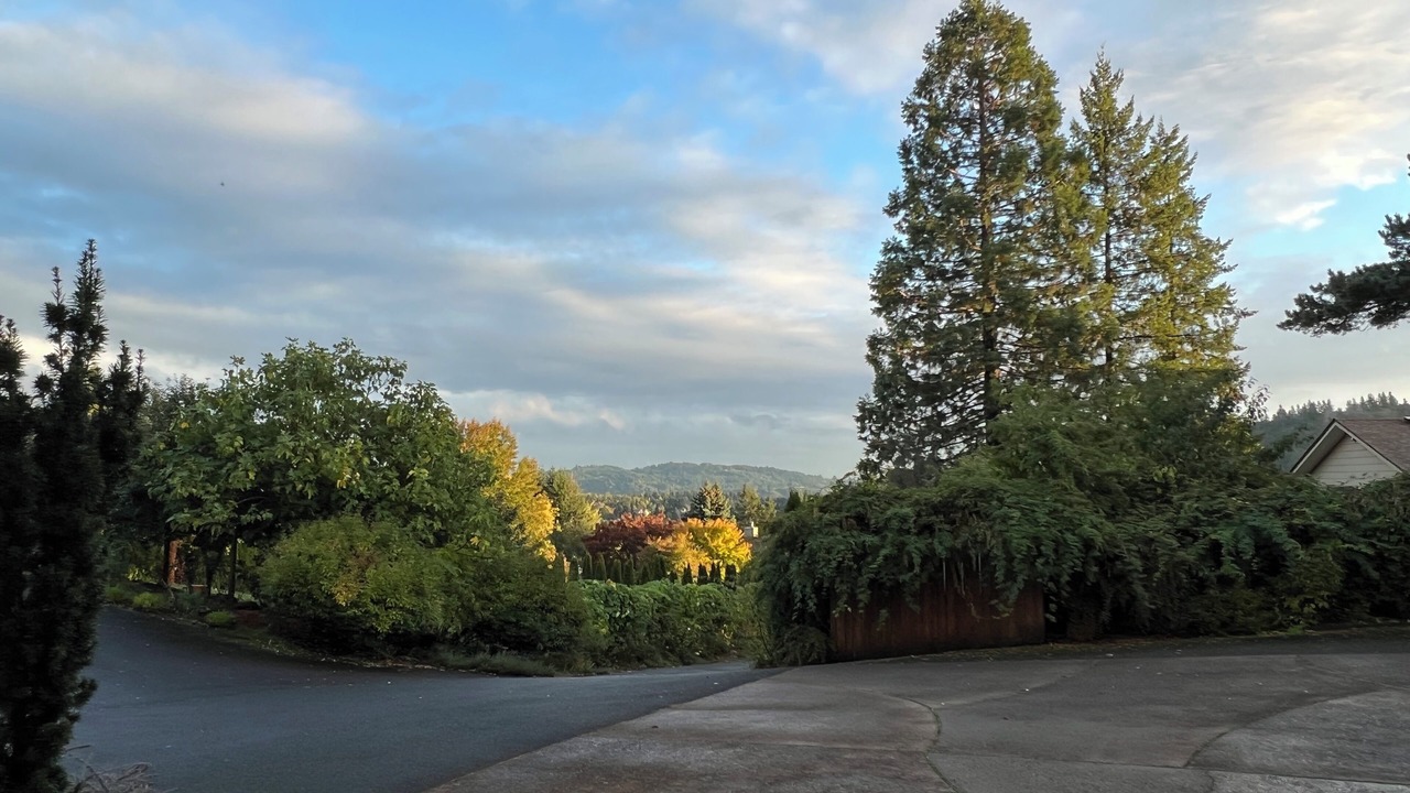Photo of Outdoor in Sunnyside