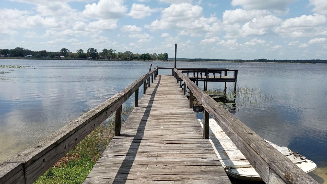 Photo of Others in Salt Springs