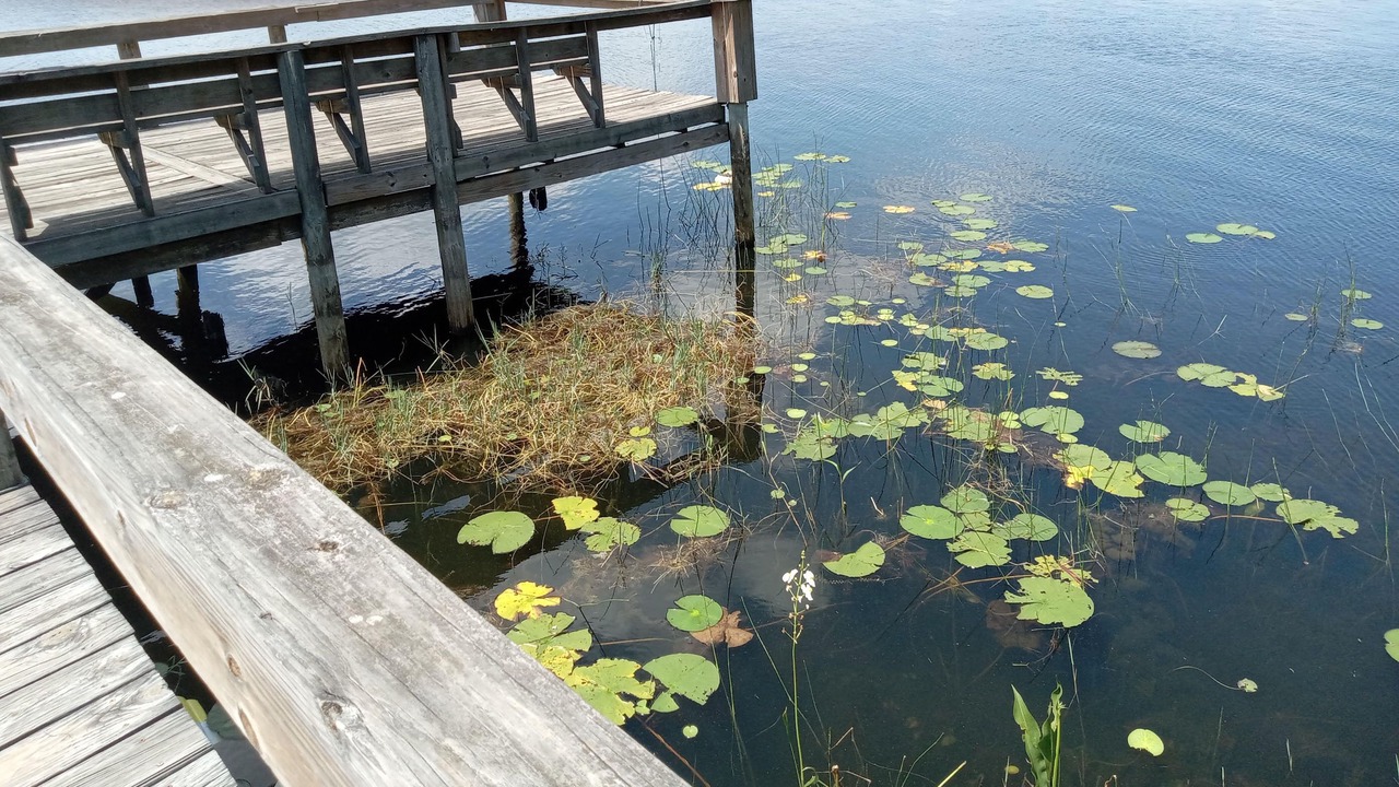 Photo of Others in Salt Springs