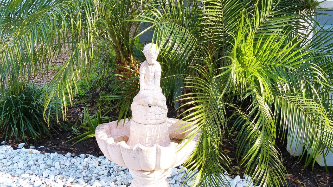 Photo of Outdoor in Salt Springs
