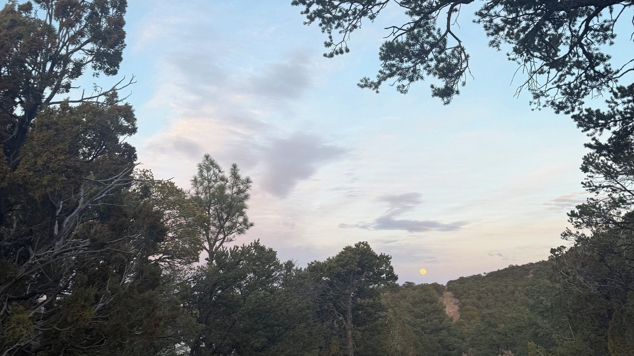 Photo of Others in Sandia Park