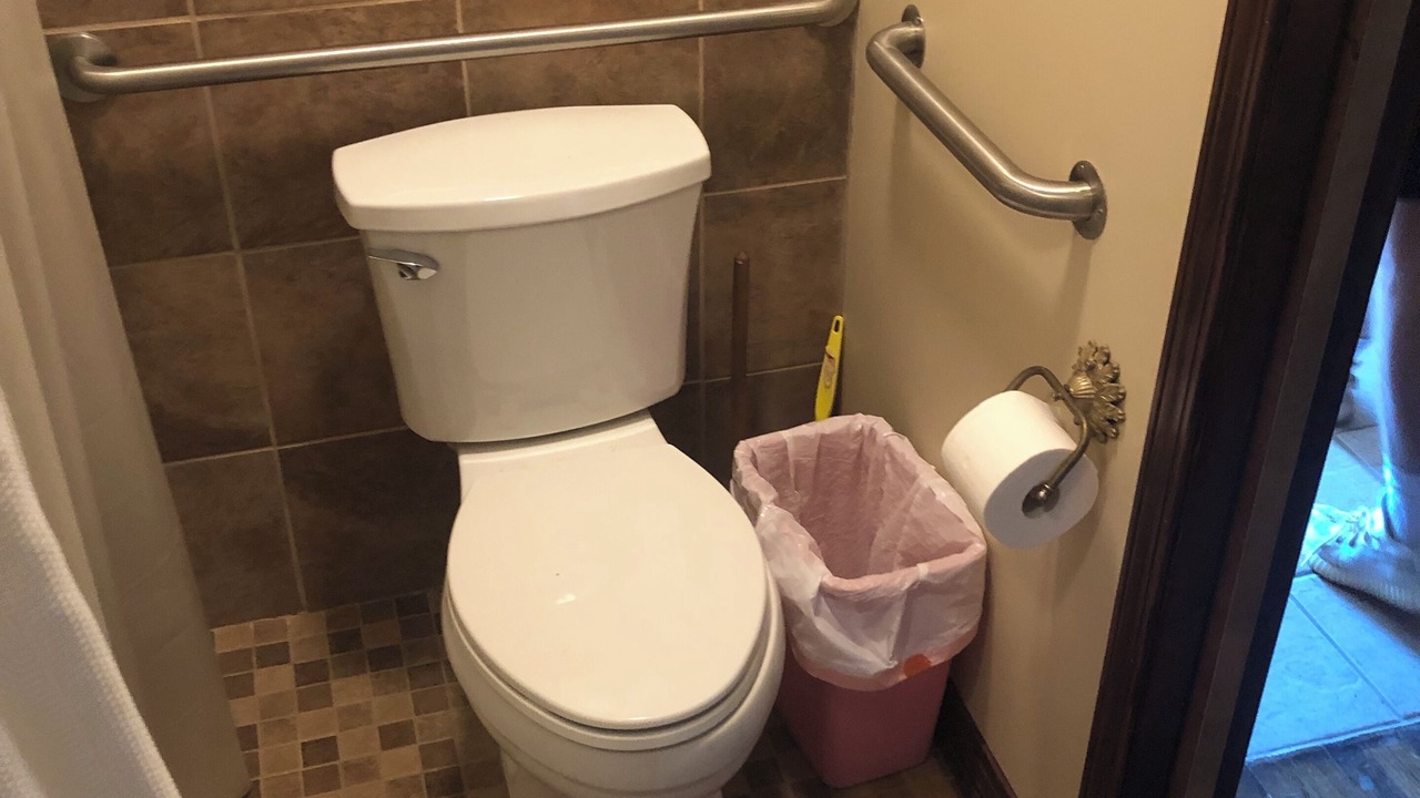Photo of Bathroom in Hornbeak