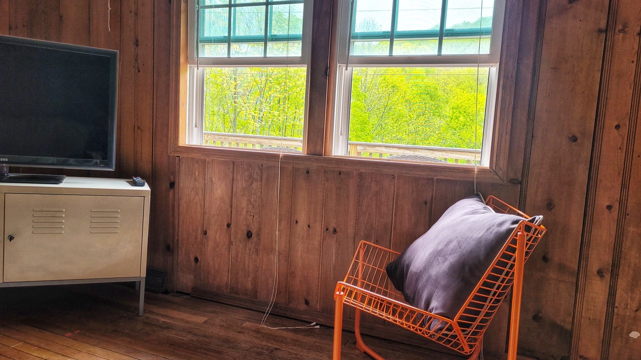 Photo of Livingroom in Margaretville