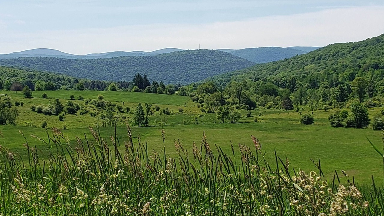 Photo of Others in Margaretville