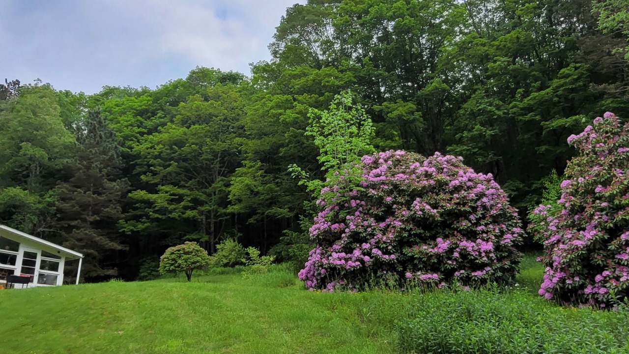 Photo of Outdoor in Margaretville