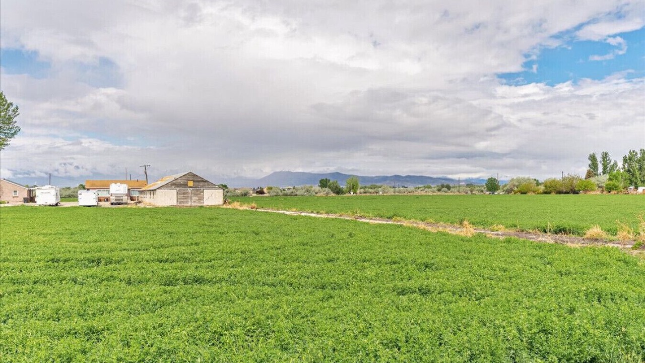 Photo of Others in American Fork