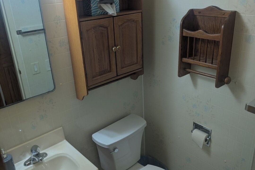 Photo of Bathroom in White Pine