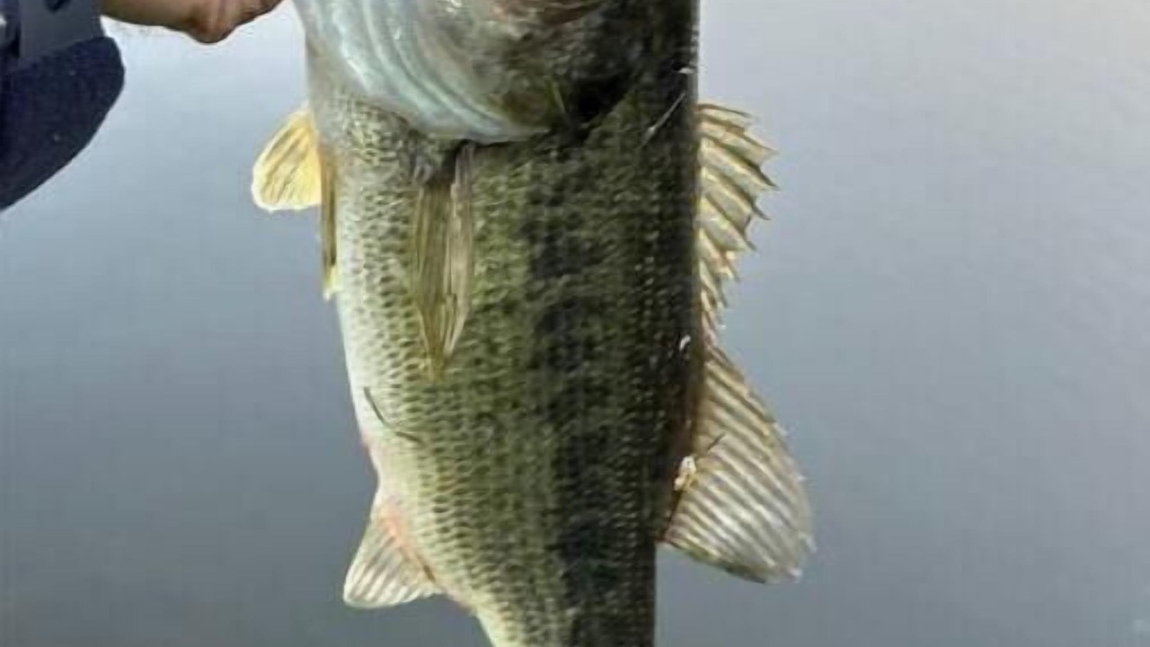Photo of Others in Sabinsville