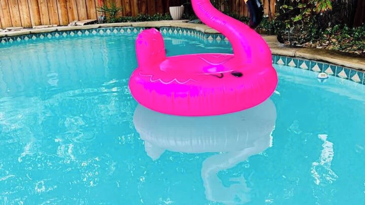 Photo of Others in Lewisville
