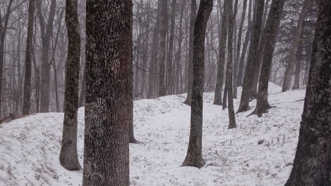Photo of Others in New Concord