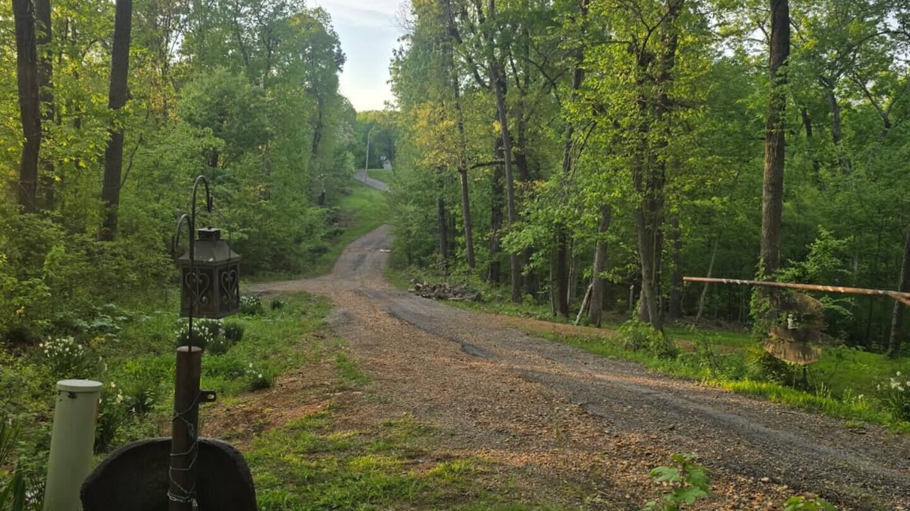 Photo of Others in New Concord