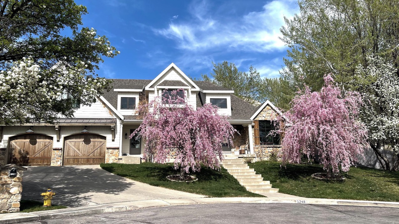 Photo of Outdoor in Orem