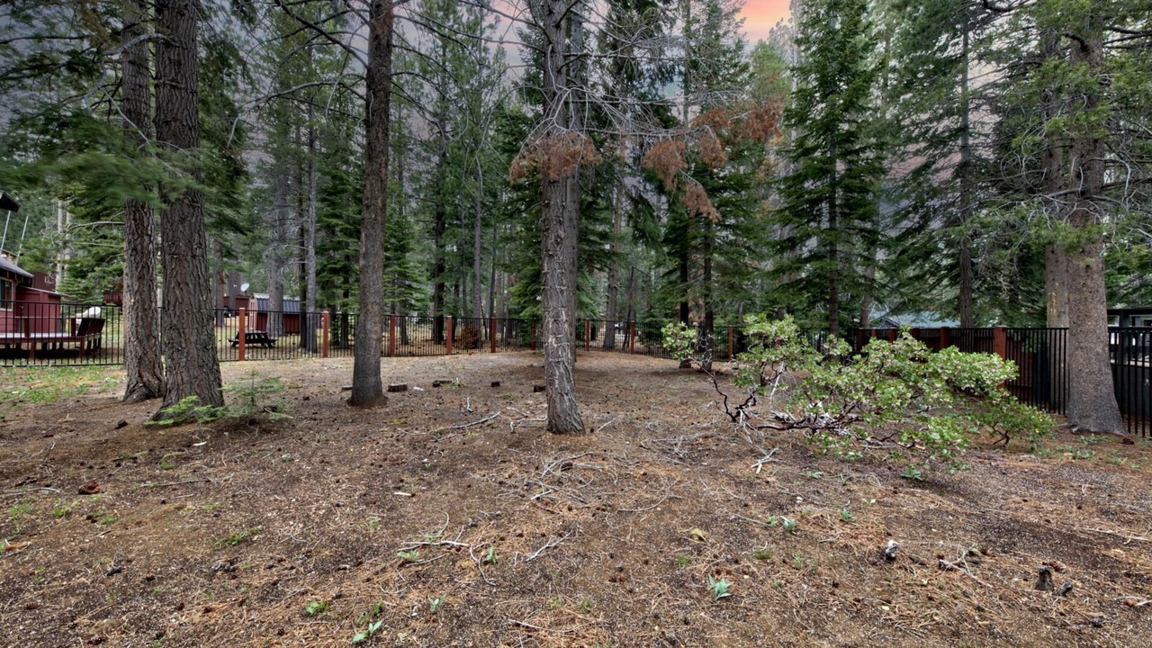 Photo of Outdoor in North Upper Truckee