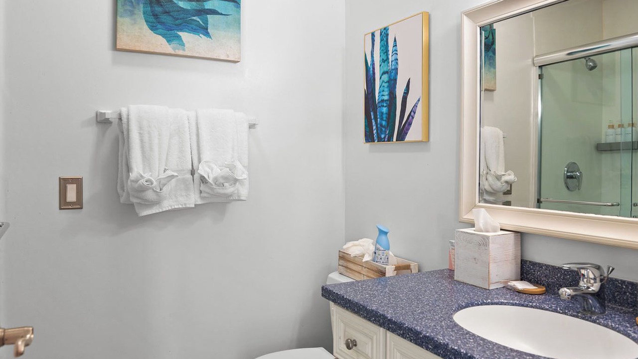 Photo of Bathroom in Hermitage