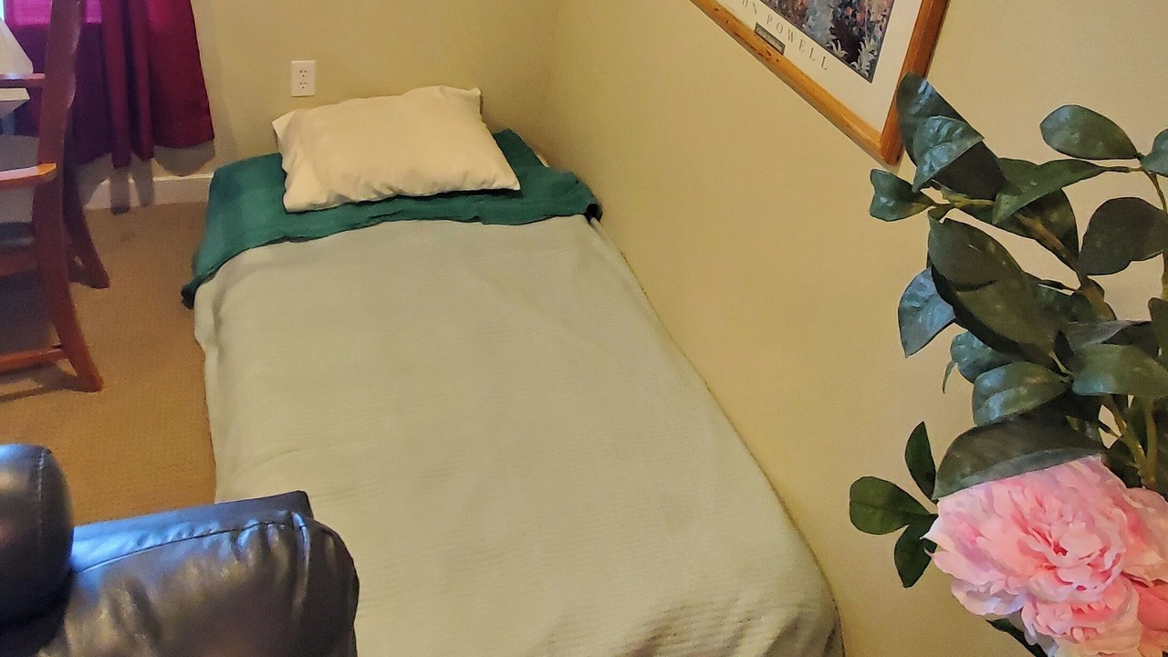 Photo of Bedroom in Lake Stevens