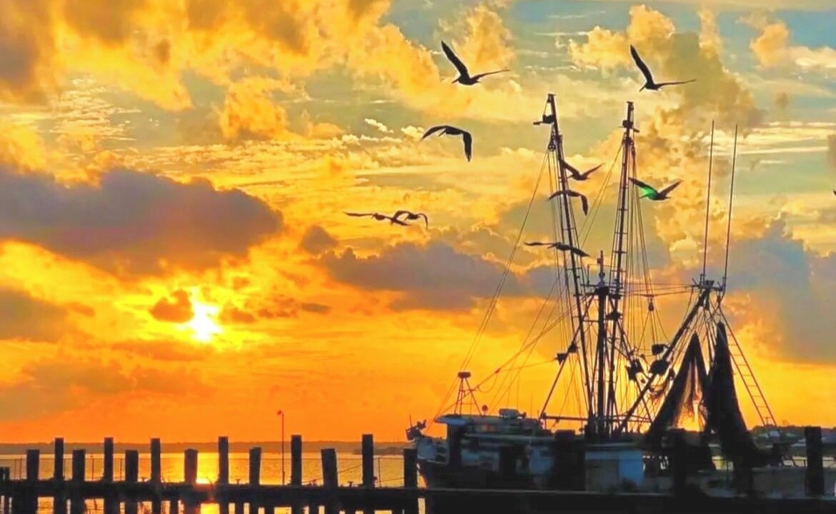 Photo of Others in Mayport