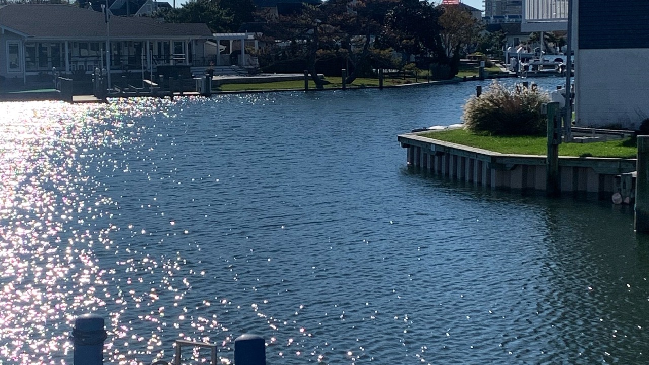 Photo of Others in Little Salisbury