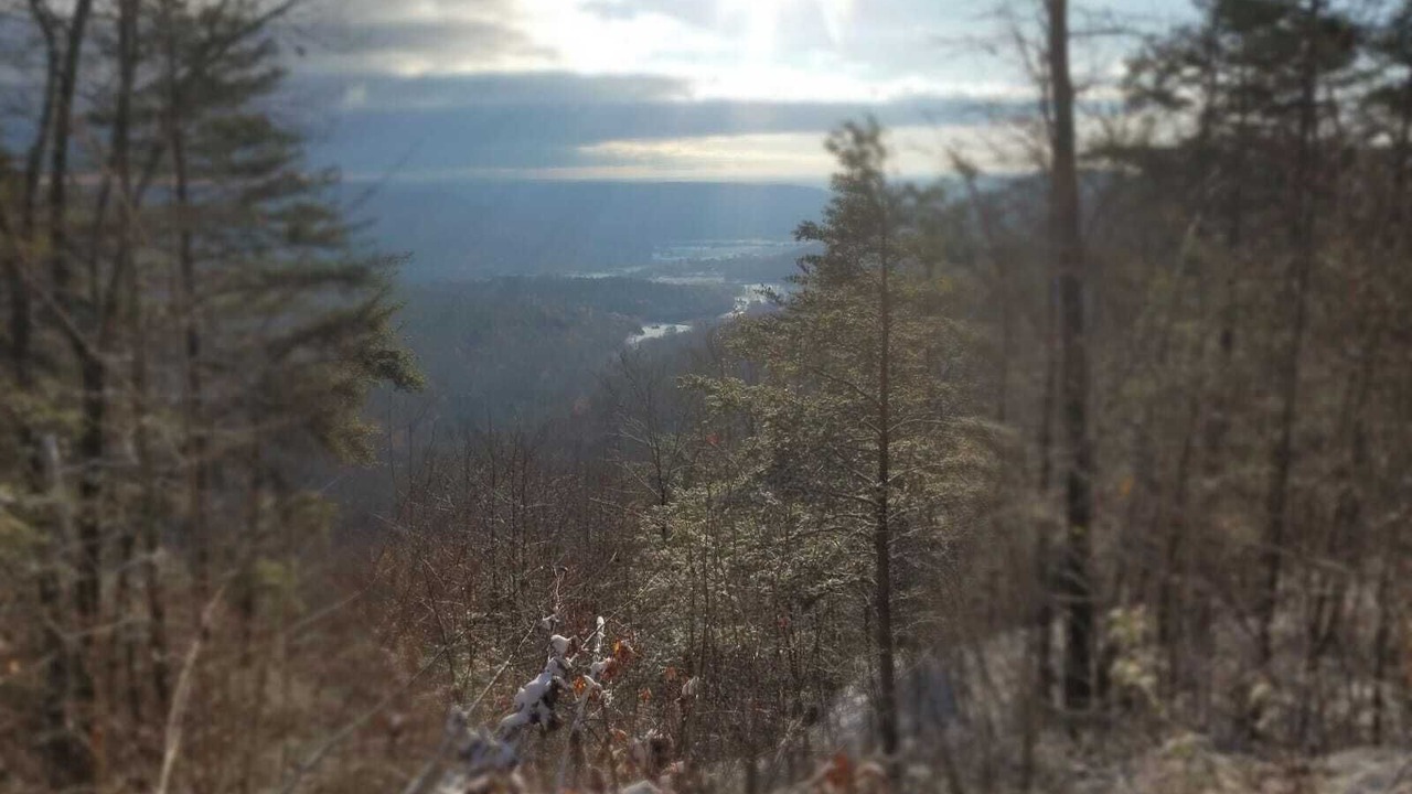 Photo of Outdoor in South Pittsburg
