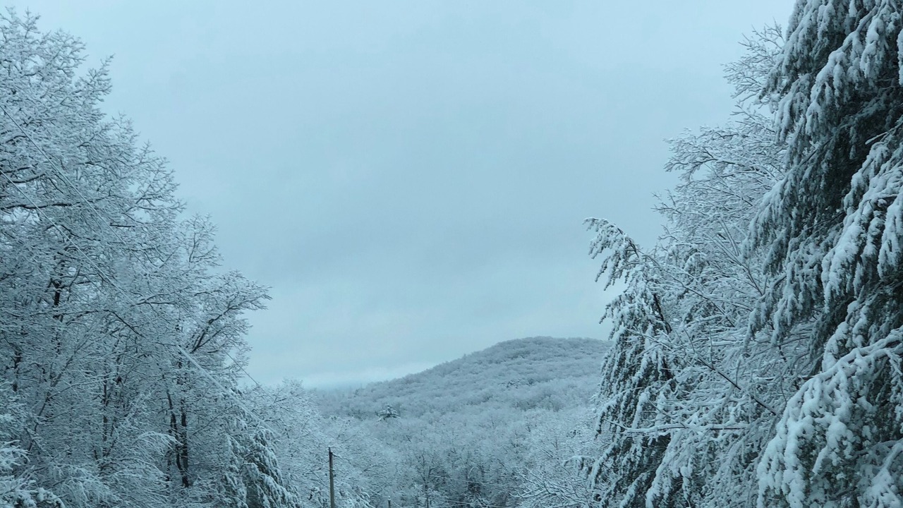 Photo of Others in Pikeville