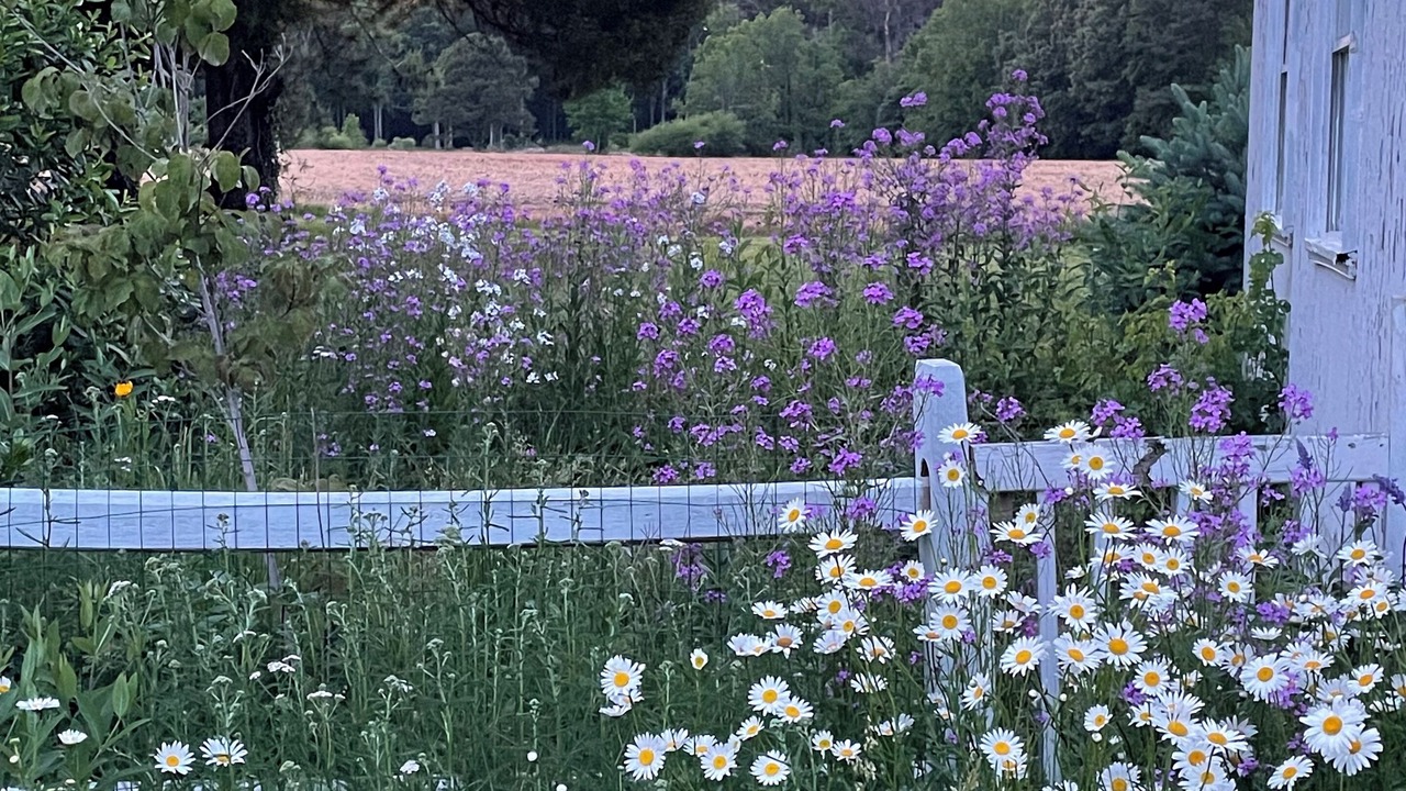 Photo of Outdoor in Unionville
