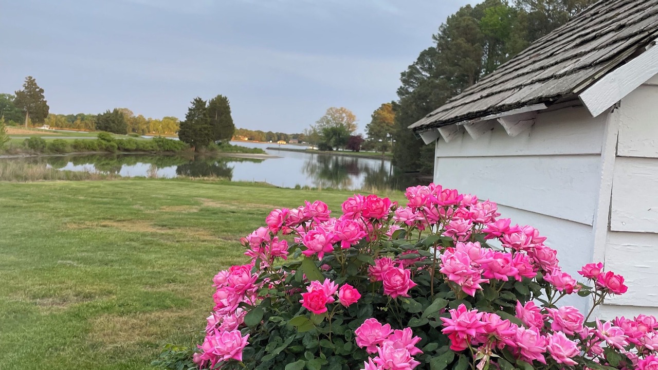 Photo of Outdoor in Unionville