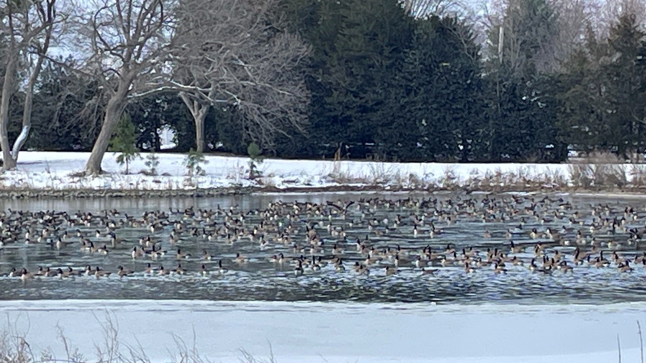 Photo of Others in Unionville