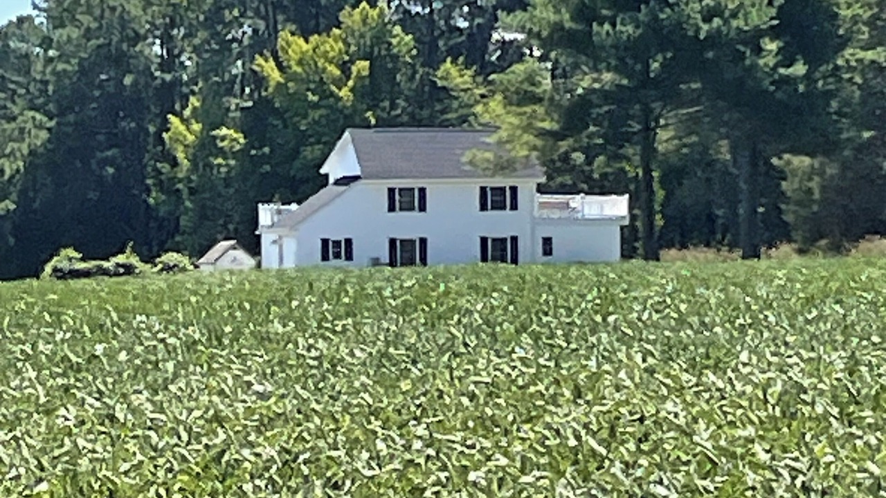 Photo of Others in Unionville