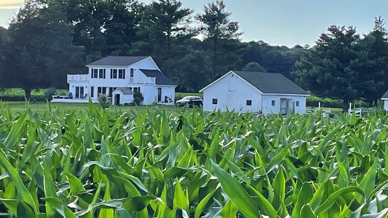 Photo of Outdoor in Unionville