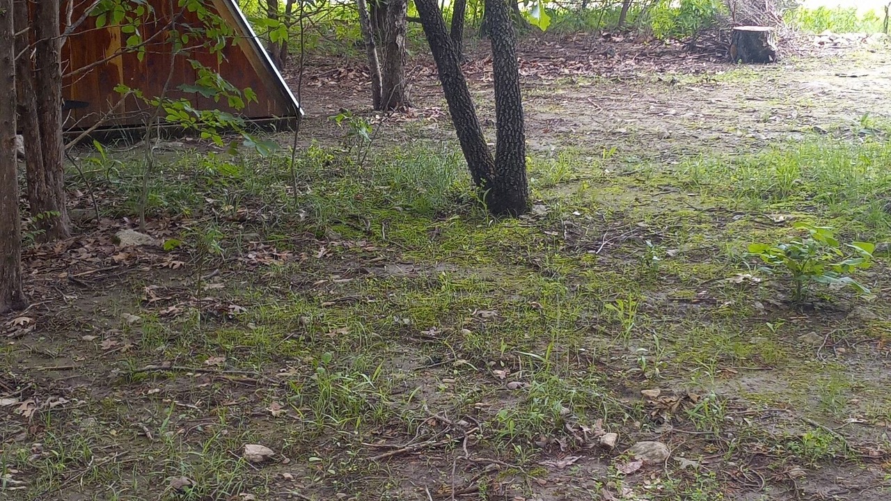 Photo of Outdoor in Elkland