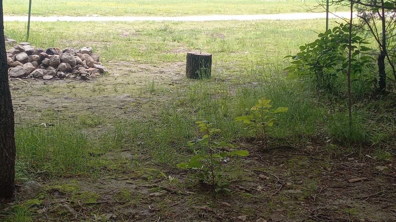 Photo of Others in Elkland