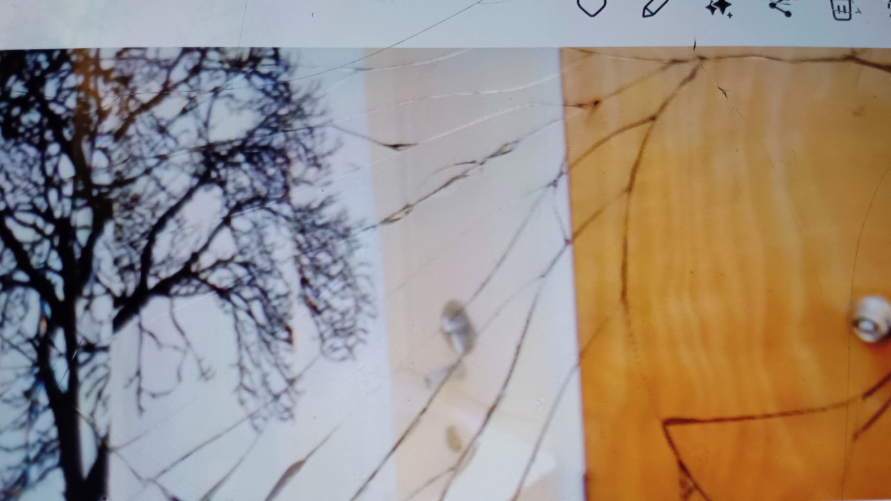 Photo of Others in Crossroad Park