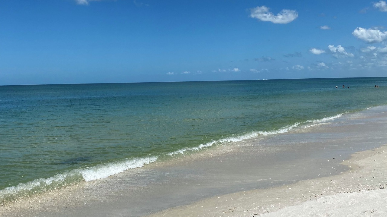 Photo of Others in North Naples