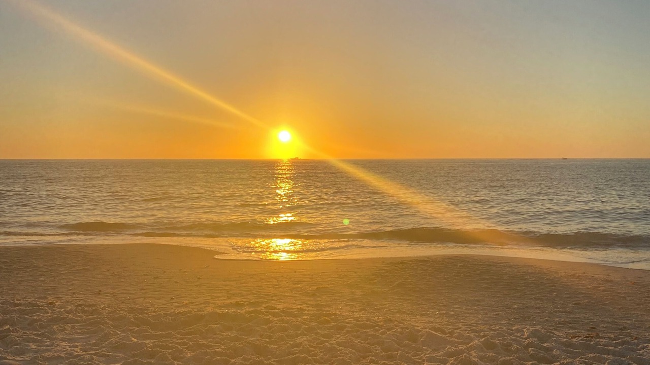 Photo of Others in North Naples