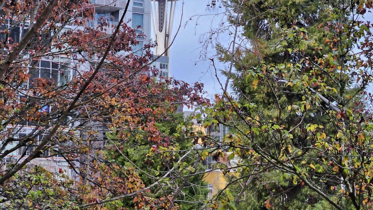 Photo of Others in Belltown