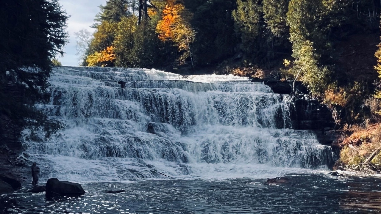Photo of Others in Trout Creek