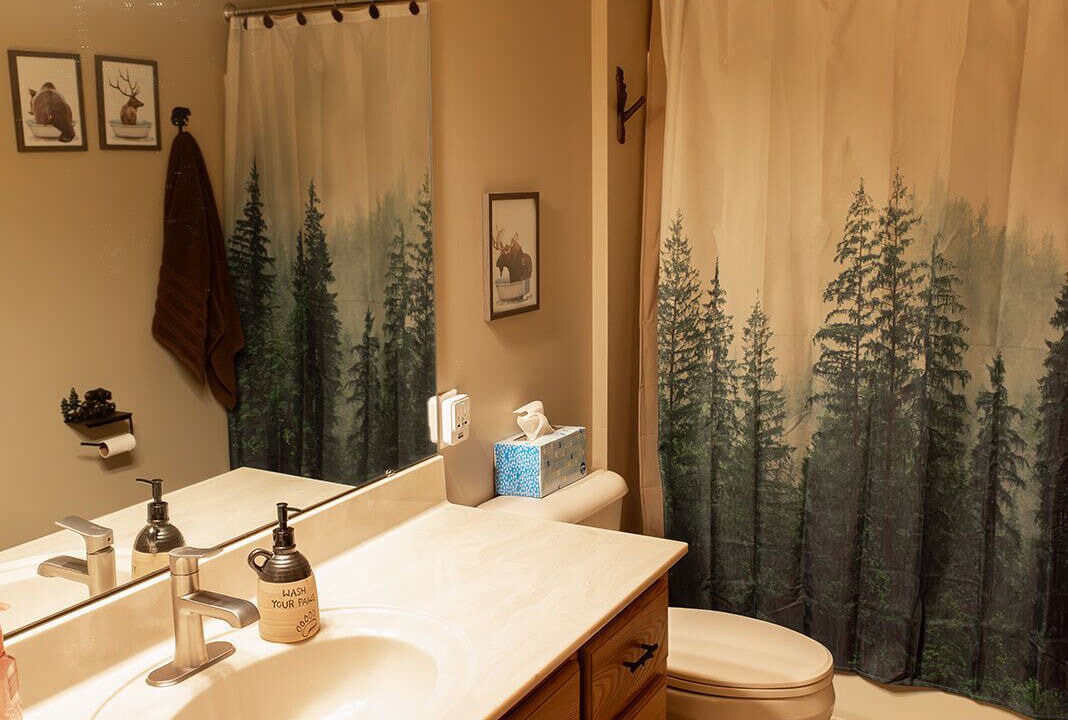 Photo of Bathroom in Sayner