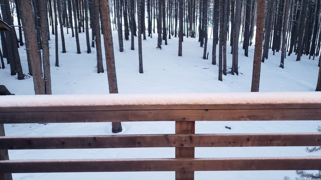 Photo of Outdoor in Evergreen
