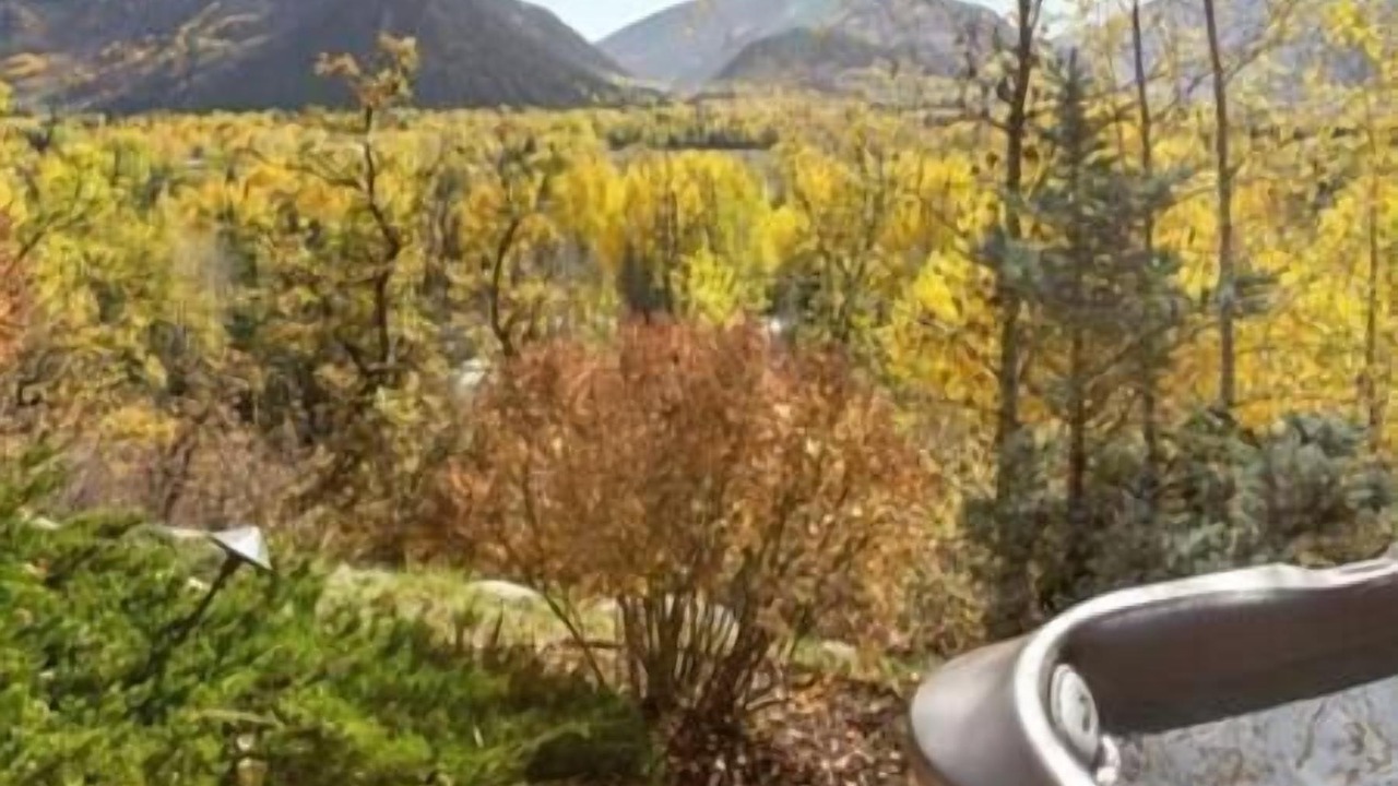 Photo of Others in Red Mountain