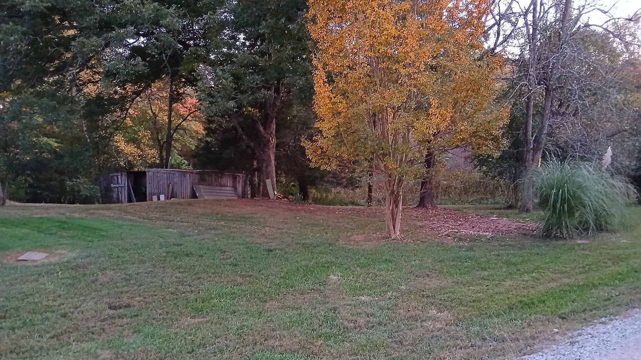 Photo of Outdoor in Bedford