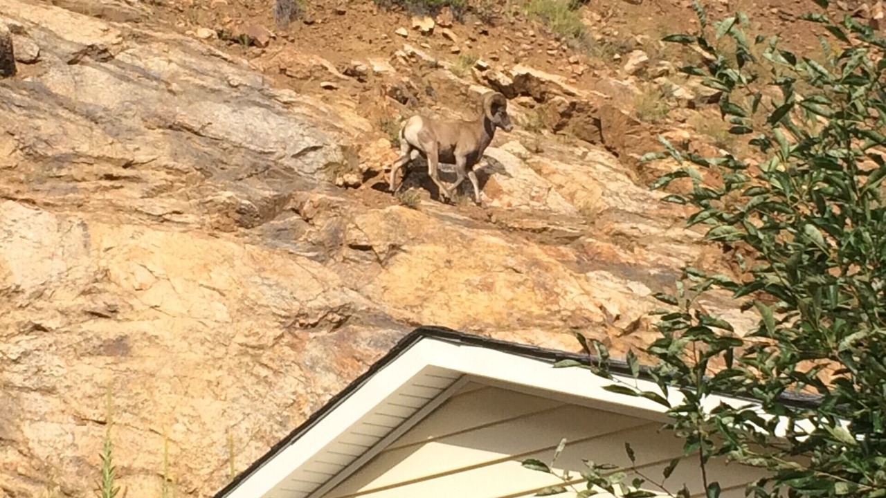 Photo of Others in Idaho Springs