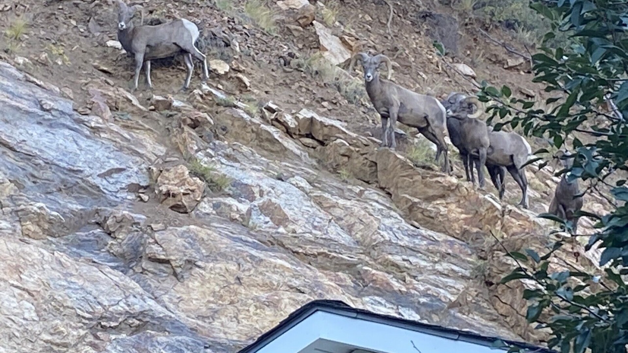 Photo of Others in Idaho Springs
