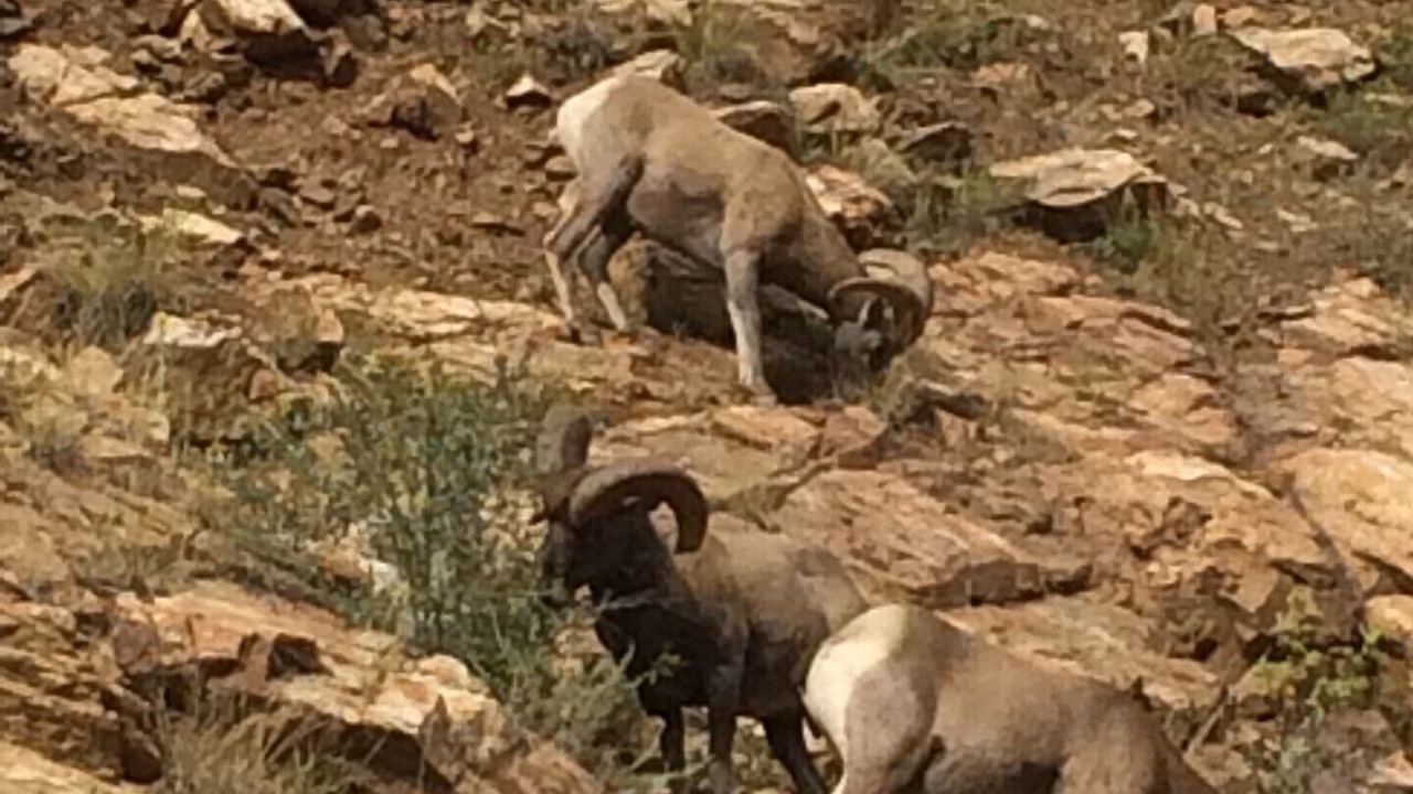 Photo of Others in Idaho Springs