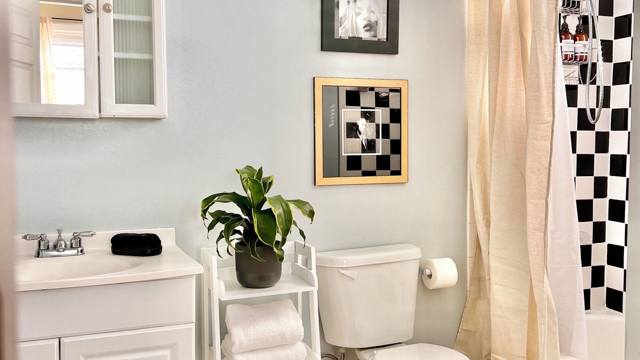 Photo of Bathroom in New Pathways